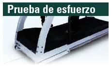 Priueba de esfuerzo